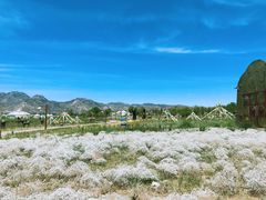 -敕勒川草原文化旅游区