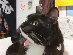 -小时光咖啡馆(开森度假森林店)