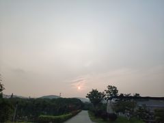 -呼吸森林·生态农庄农家乐私房菜