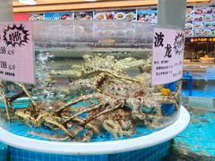 -皮记海鲜1995(寮步店)