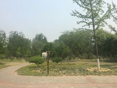 -永定河休闲森林公园