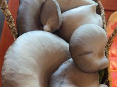 -老员外骨汤火锅(海州古城店)