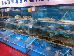 -胖姐渔村(中源大道店)