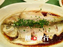 -中国饭店-餐厅