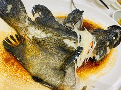 清蒸老虎斑-御彩酒家(东风东路店)