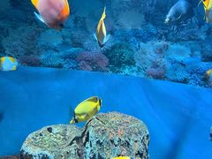 -海合安成都极地海洋公园