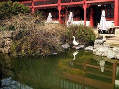 -祝家花園(伯渎港店)