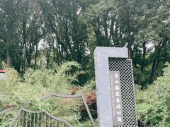 -老山国家森林公园