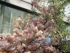 -花亭(仲盛世界商城店)