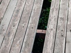 -高荡千年布依古寨旅游景区