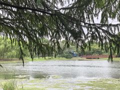 -尚贤河湿地