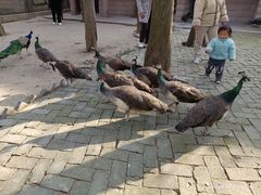 -南京金牛湖风景区