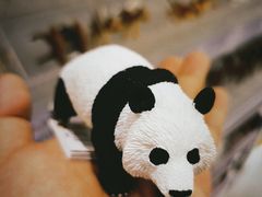 -永旺梦乐城国际商城(北清路店)