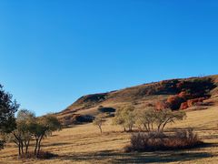 -塞罕坝国家级自然保护区