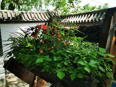 -慢丽江·云南野生菌土鸡锅(西山店)