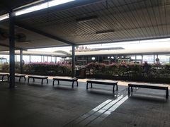 -国际邮轮中心码头(厦鼓码头)