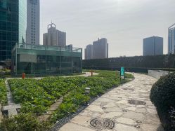 -头号顽家·萌宠生日派对·轻奢策划(前滩店)