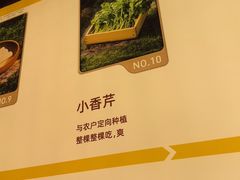 -巴奴毛肚火锅(龙湖锦艺城店)