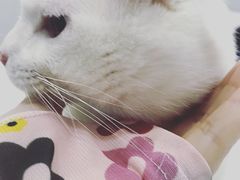 -佳雯宠物医院(金华南路分院)