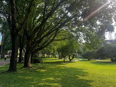 -荔香公园
