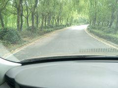 -十里长山生态农业公司