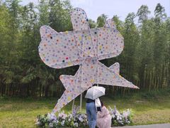 -黄海国家森林公园