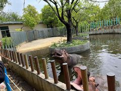 -常州淹城野生动物世界