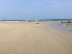-贝壳沙滩