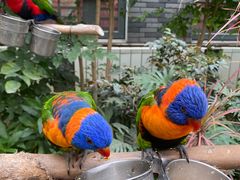 -南宫五洲植物乐园