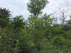 -南山健身公园