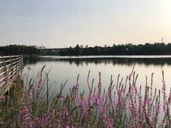 -美兰湖景区