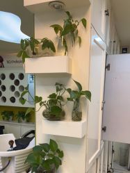 -丽时 Hair Salon