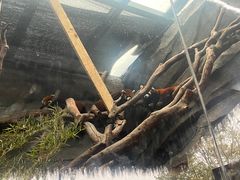 -武汉动物园