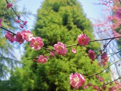 -白塘生态植物园
