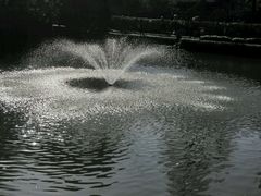 -绮园景区