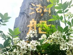 -南湖船菜大酒店
