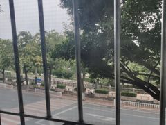 -共和老洪豆花草粿水粿