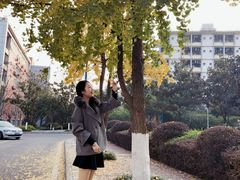 -西南政法大学(渝北校区)