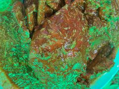 -無招牌海鮮(芽笼店)