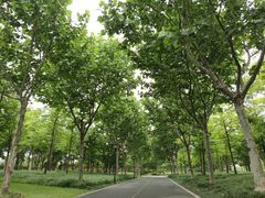 -上海山野camping·户外天幕烧烤·团建拓展营地