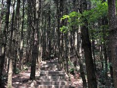 -罗田薄刀峰风景区