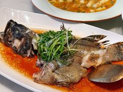 清蒸老虎斑-泓历皇朝酒店(东亭店)