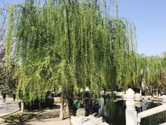 -西安青龙寺遗址景区
