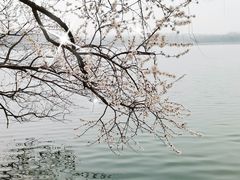 -颐和园