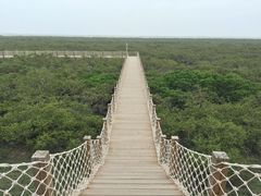景点-北海金海湾红树林生态旅游区