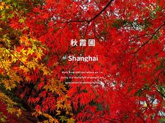 -秋霞圃