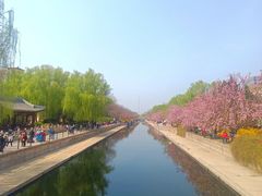 -元大都城垣遗址公园