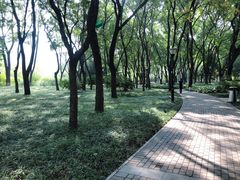 -玲珑塔公园