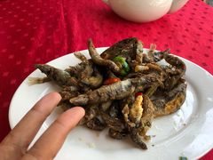多春鱼-蛇口康乐快餐鱼仔档(翠苑小区店)