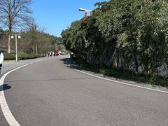 -重庆园博园
